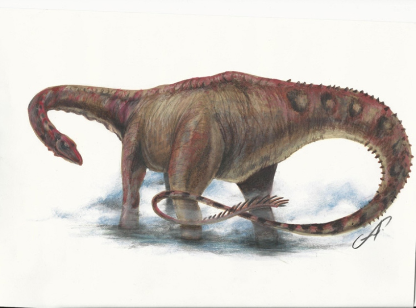 Dinossauro Dinheirosaurus
