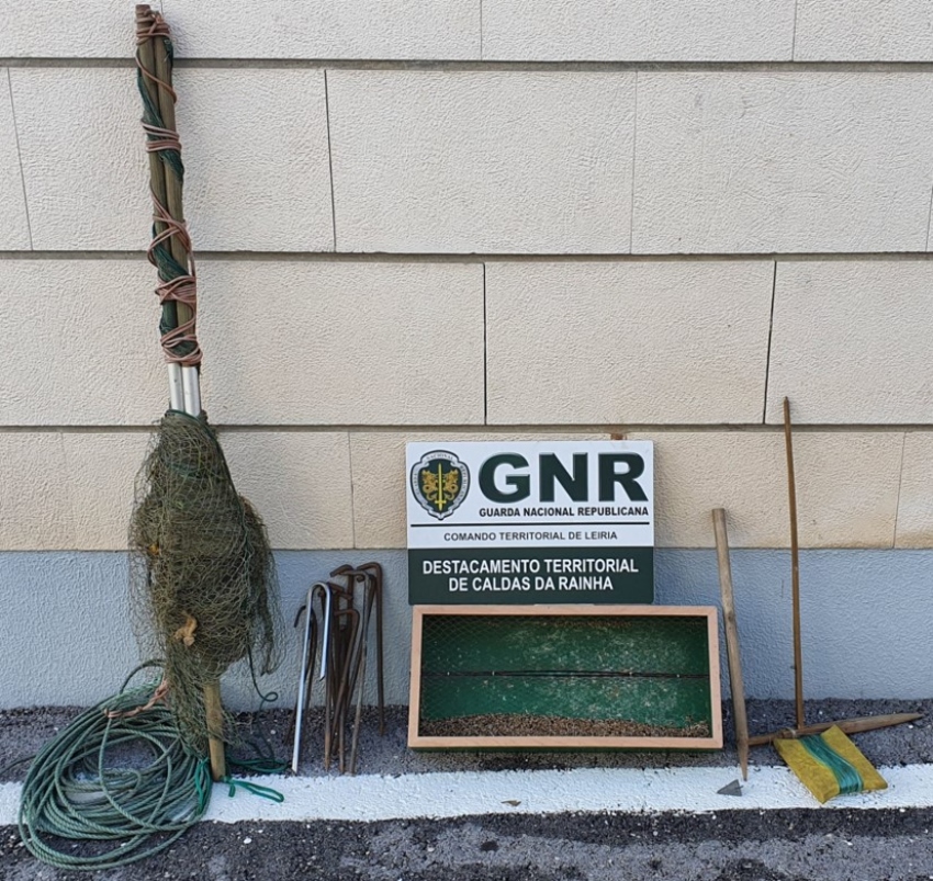 GNR Apreensao Ferrel aves