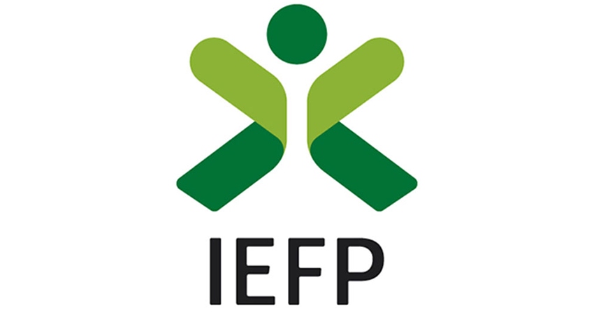IEFP 2 logo