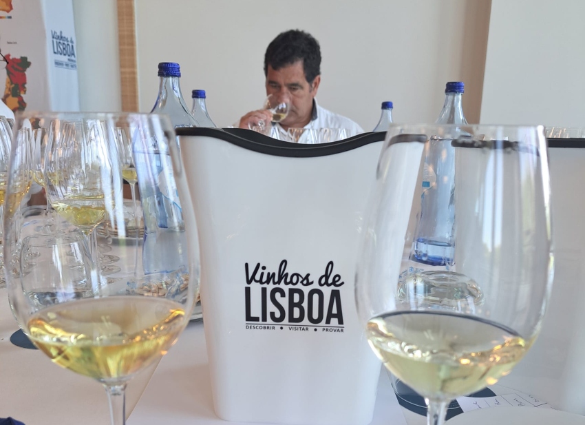 Vinhos de Lisboa concurso 2023