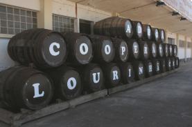 Município da Lourinhã pretende adquirir ao Estado as antigas instalações do IVV por 280 mil euros