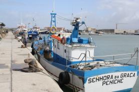Governo aprova modelo do Documento Único de Pesca