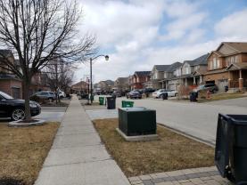 DIÁSPORA-COVID-19: testemunho de Rita Cardoso, da Lourinhã, que reside no Canadá