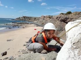 Ninho de dinossauro carnívoro retirado da Praia do Caniçal pelo Museu da Lourinhã