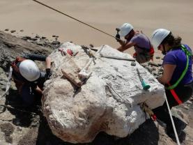 Apurados os vencedores do Programa de Incentivo à Investigação Científica Horácio Mateus  
