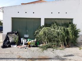 Detidos dois homens no concelho da Lourinhã por tráfico de estupefacientes e arma proibida