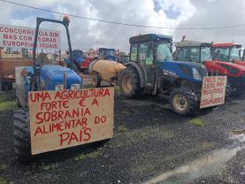 Manifesto reivindicativo apresentado nas Caldas da Rainha após marcha lenta de agricultores em protesto