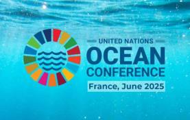 Oceanos: Tratado do Alto Mar implementado a 23 de Setembro