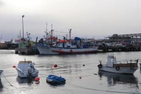 Ministra “sensível” às preocupações dos pescadores sobre parques eólicos no mar