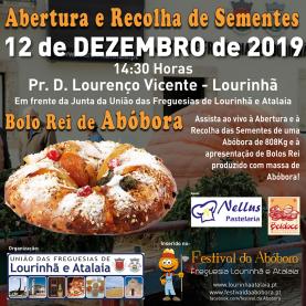 Lourinhã: corte e retirada de sementes da abóbora gigante proveniente de Itália