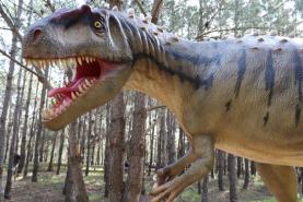 Pegadas de dinossauros mais antigas da Península Ibérica descobertas em Portugal