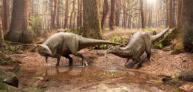 Dinossauro ‘Draconyx’ da Lourinhã é reestudado passados 20 anos