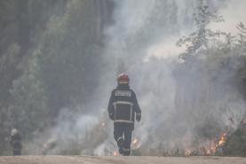 Incêndios: Ministro da Administração Interna alerta para ano mais exigente do que 2022