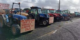 Protesto dos agricultores: cerca 150 tractores em marcha lenta entre Óbidos e Caldas da Rainha