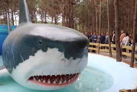 Dino Parque da Lourinhã inaugurou novo trilho dedicado aos Monstros Marinhos