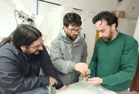 Raros achados de dinossauros herbívoros no Jurássico da Lourinhã