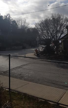 DIÁSPORA-COVID-19: testemunho de Paula Ramos, de Santa Bárbara, residente no Canadá