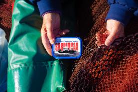 Empresa internacional ESIP lança marca ‘Peniche Can Fish’