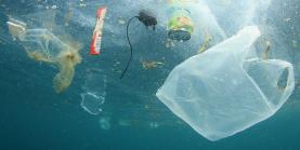 Estudo revela que redução de plástico só com reutilização em massa