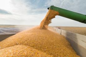 Produção de cereais em 2020/2021 é uma das mais baixas dos últimos 35 anos