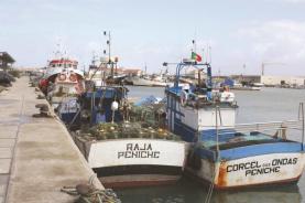 Pesca de raias pode ser encerrada após Portugal esgotar 80% da quota