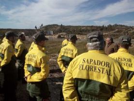 Incêndios: Equipas de sapadores florestais com mais 10 mil euros de apoio anual